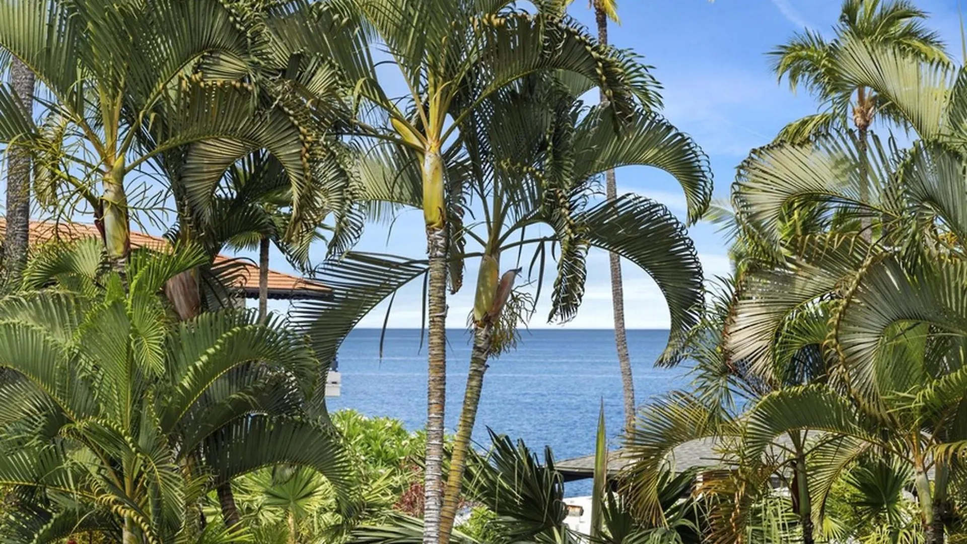 Vakantiehuis Casa De Emdeko 222 Villa Kailua-Kona